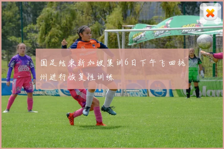 国足结束新加坡集训6日下午飞回杭州进行恢复性训练