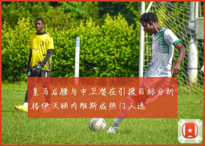 皇马后腰与中卫潜在引援目标分析格伊沃顿内维斯成热门人选