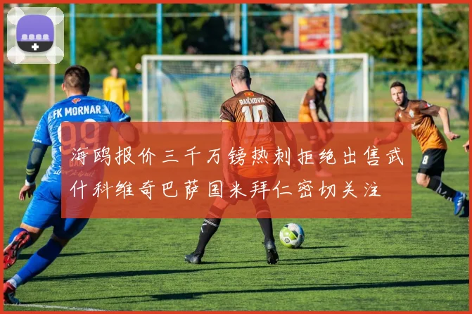 海鸥报价三千万镑热刺拒绝出售武什科维奇巴萨国米拜仁密切关注