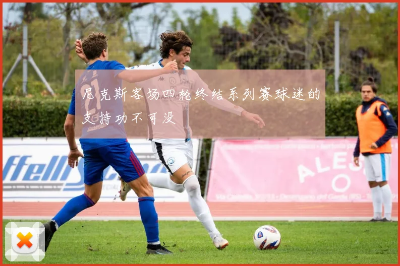尼克斯客场四轮终结系列赛球迷的支持功不可没