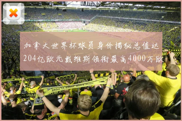 加拿大世界杯球员身价揭秘总值达204亿欧元戴维斯领衔最高4000万欧